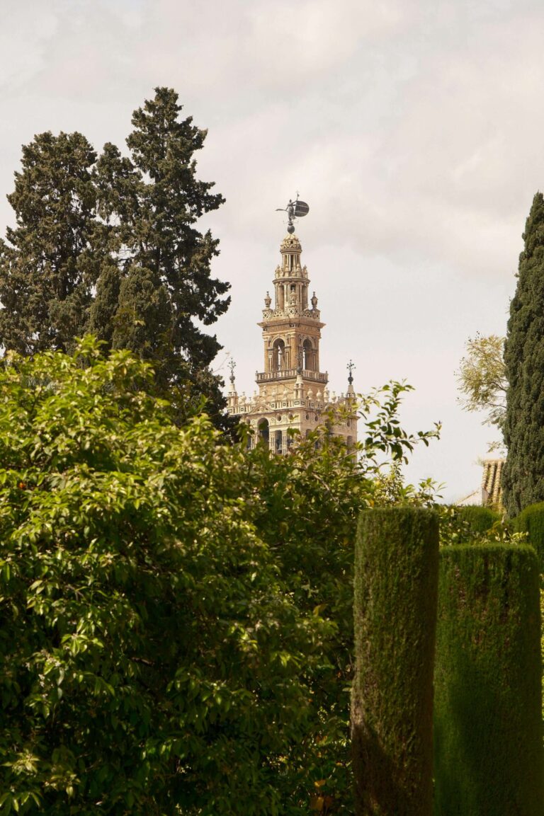 pexels-ozge-130172939-32080836